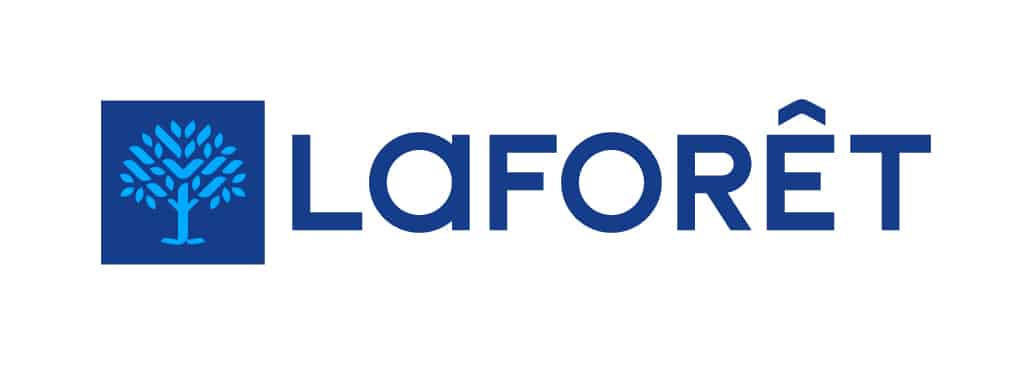 logo_rect