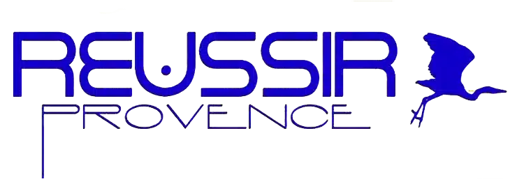 REUSSIR-logo-BLEU-FONCE.png